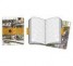 Moleskine Cover Art Chinese Market Ruled Journal
