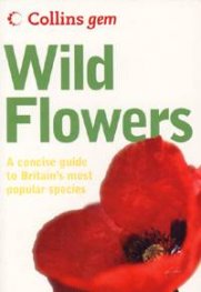 Gem: Wild Flowers