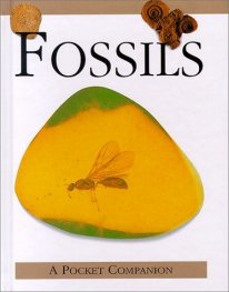 A Pocket Companion Fossils/20703134
