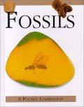 A Pocket Companion Fossils/20703134