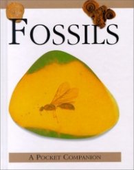 A Pocket Companion Fossils/20703134