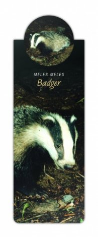 Разделител с диви животни - язовец