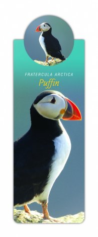 Разделител с диви животни - кайра