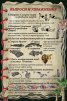 Survivor (Оцеляващ). Настолна образователна игра