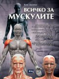 Всичко за мускулите