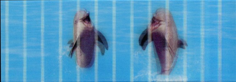 Разделител за книга Dolphins Bookmark [0177]