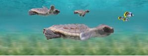 Разделител за книга Baby Turtles Bookmark [0450]