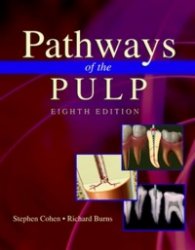 Pathways of the pulp