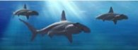 Разделител за книга Hammerhead Sharks Bookmark [0429]