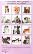 Calendar 2012: Cats & Kittens