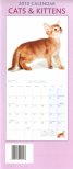 Calendar 2012: Cats & Kittens