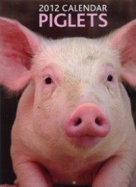 Calendar 2012: Piglets
