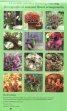 Calendar 2012: Country Flowers