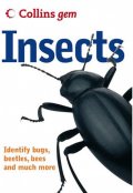 Gem: Insects