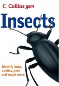 Gem: Insects