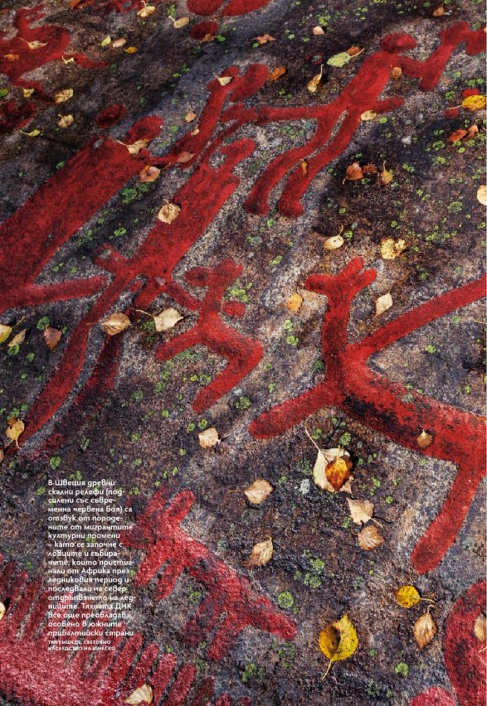 National Geographic България 8/2019
