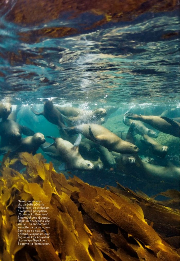 National Geographic България 8/2019