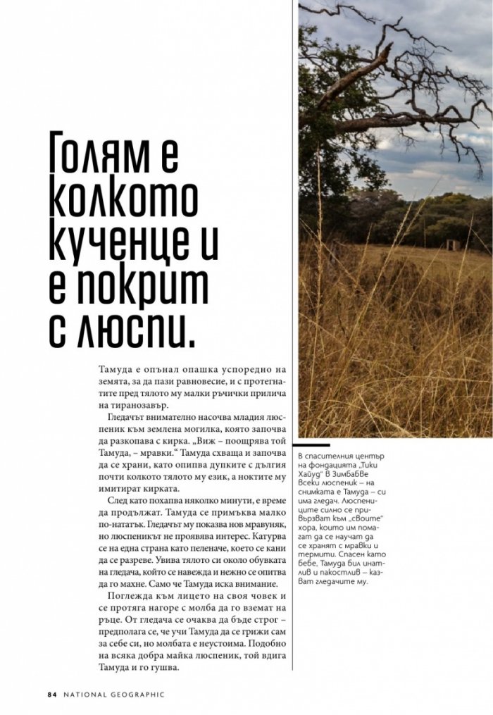 National Geographic България 8/2019