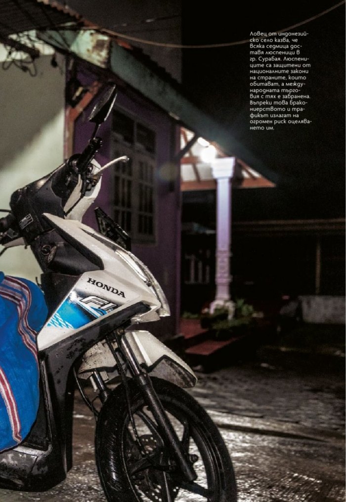 National Geographic България 8/2019
