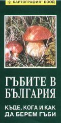 Гъбите в България: Къде, кога и как да берем