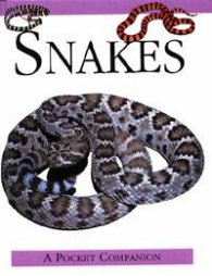 Snakes: Pocket Companion