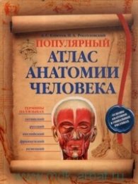 Популярный атлас анатомии человека