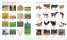 Mandarin Chinese English Bilingual Visual Dictionary