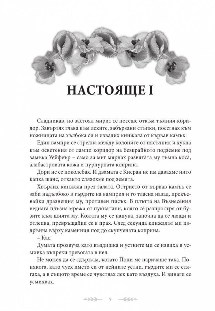Душа от пепел и кръв - Кн.5 от поредицата Кръв и пепел