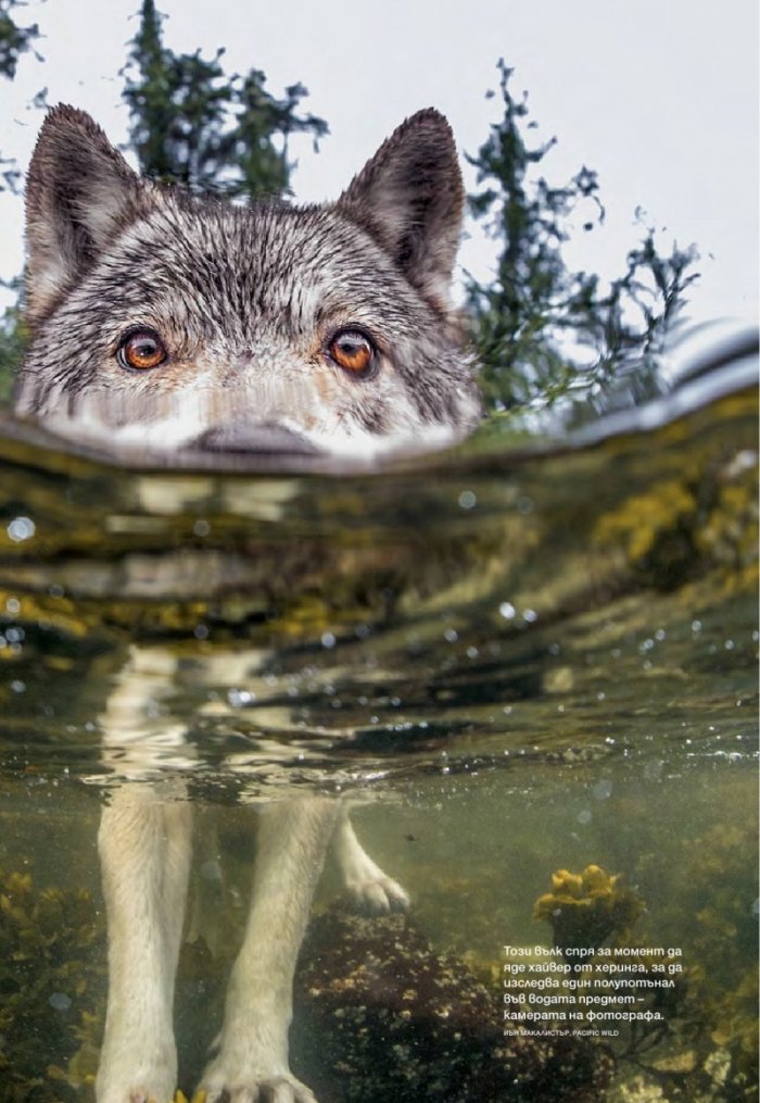 National Geographic България 01/2016