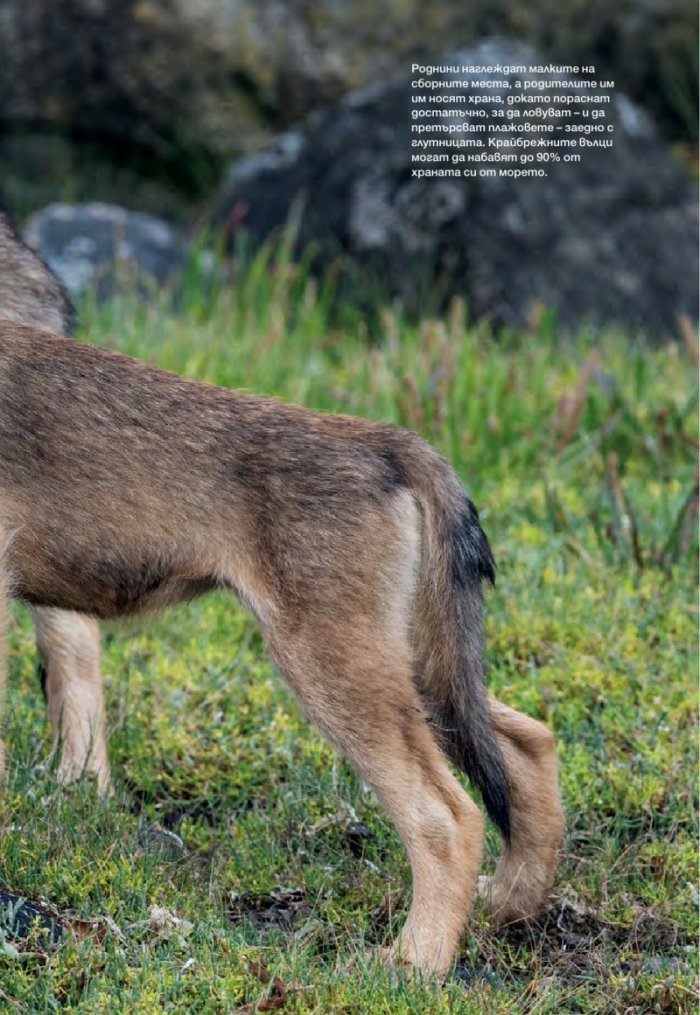 National Geographic България 01/2016