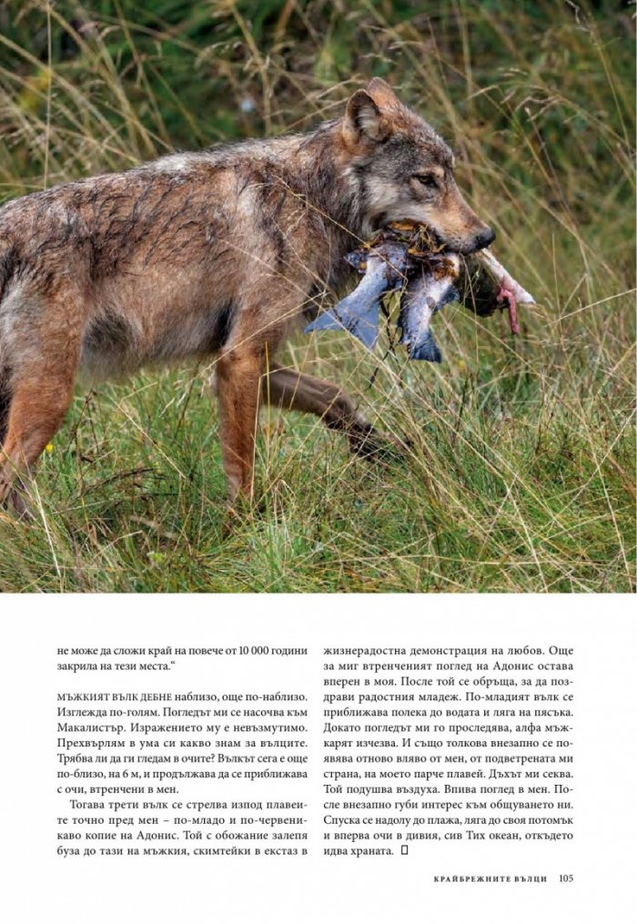 National Geographic България 01/2016