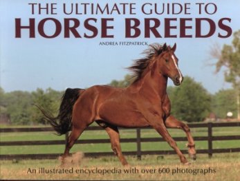 The Ultimate Guide to Horse Breeds