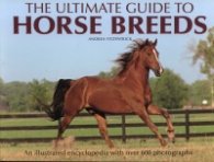 The Ultimate Guide to Horse Breeds