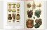 Cabinet of Natural Curiosities