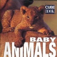 Baby Animals/ Mini Cube Book