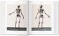 Atlas of Human Anatomy and Surgery