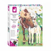 PAINTING BY NUMBERS WATERCOLOUR HORSES J07953
