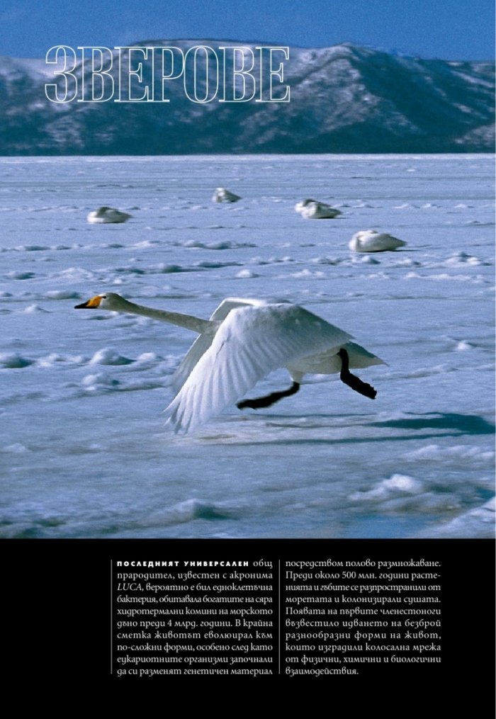 National Geographic България Септември/2022