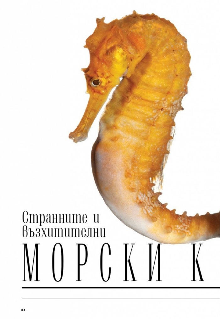 National Geographic България Септември/2022