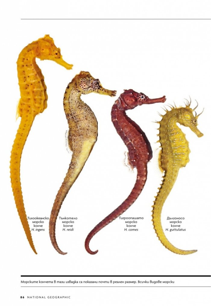 National Geographic България Септември/2022