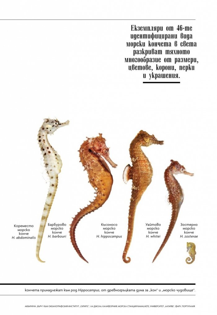 National Geographic България Септември/2022