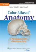 Color Atlas of Anatomy : A Photographic Study of the Human Body