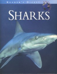 Reader's Digest Explores Sharks