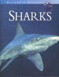 Reader's Digest Explores Sharks