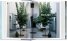 Living in Marocco. 40th Ed.