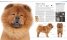The Dog Encyclopedia : The Definitive Visual Guide