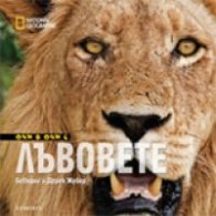 Очи в очи с лъвовете/ National Geographic