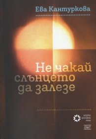 Не чакай слънцето да залезе. Политически роман