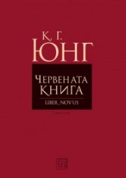 Червената книга (Liber Novus). Текстът