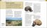 World History : From the Ancient World to the Information Age